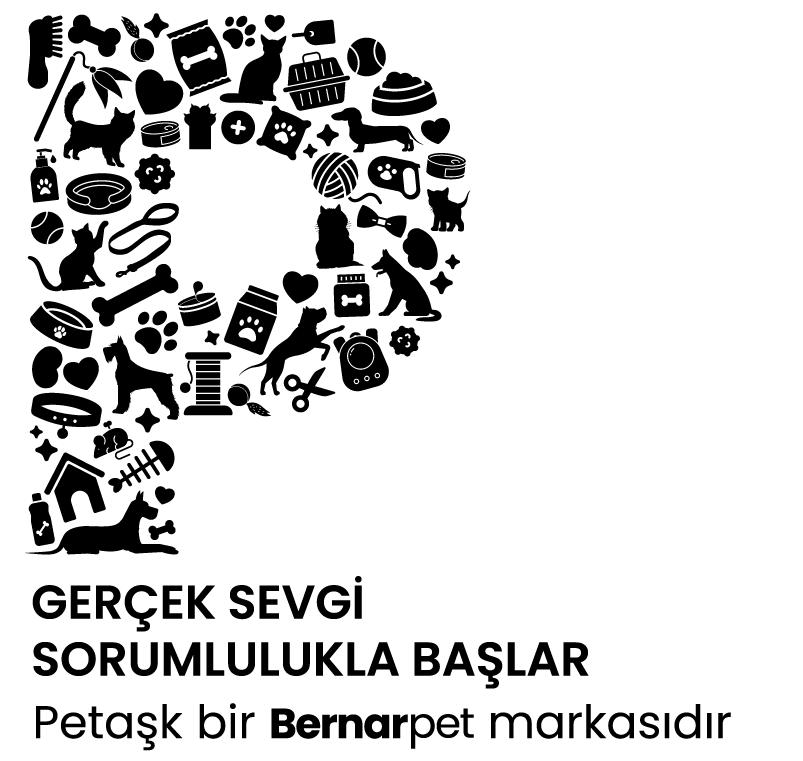 Petaşk-Branding-2