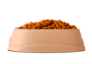 Bandelo-Mamam-Kabı