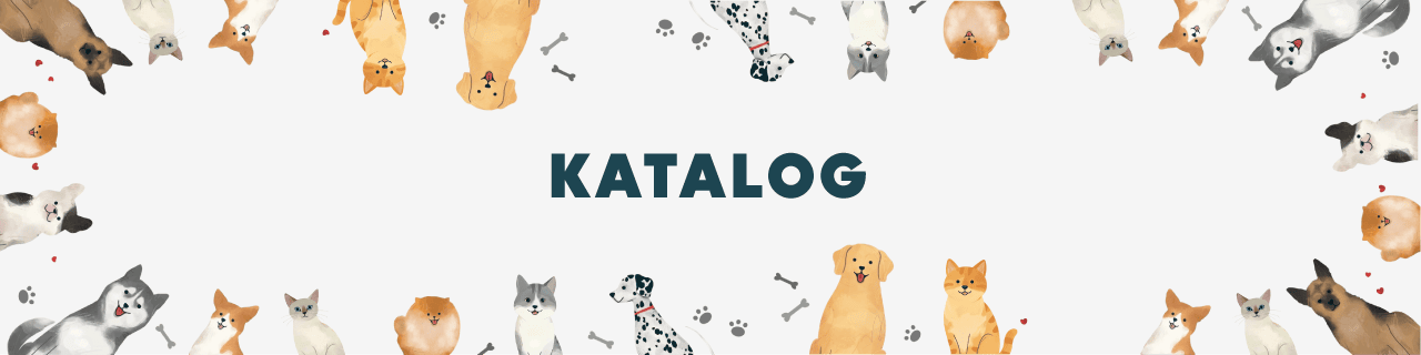 Katalog-New